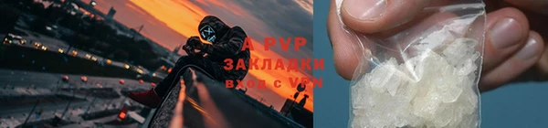дживик Абинск